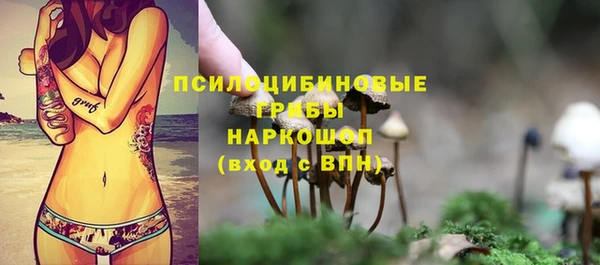 бошки Аркадак