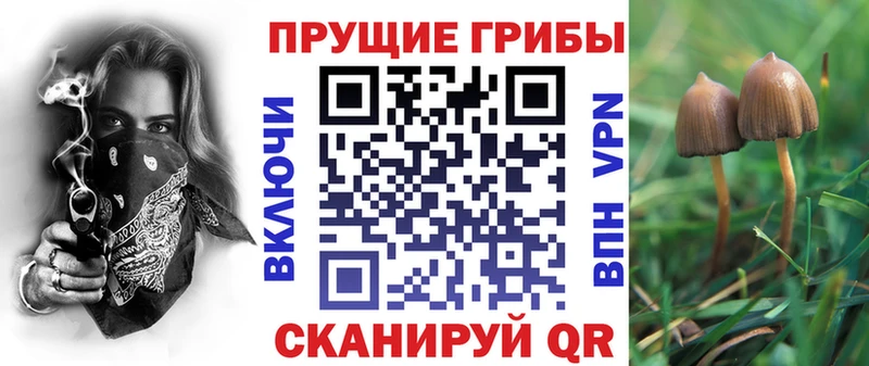 Купить где  Верхний Тагил  Псилоцибиновые грибы Magic Shrooms 