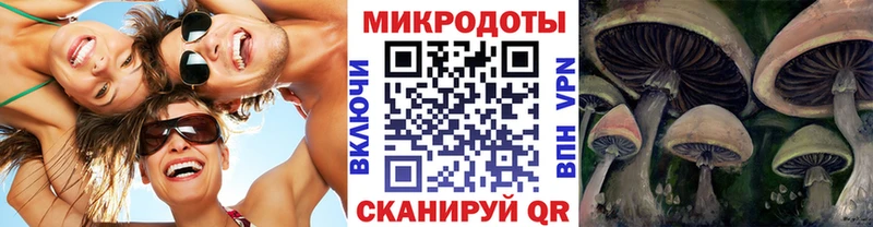 Галлюциногенные грибы Psilocybe Верхний Тагил